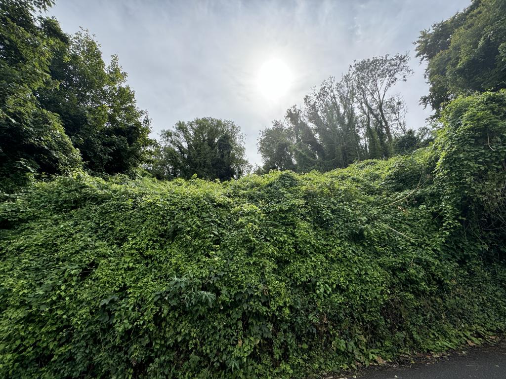 Lot: 33 - FREEHOLD PARCEL OF LAND - land view looking straight from the road